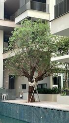 10 Evelyn (D11), Apartment #357475211